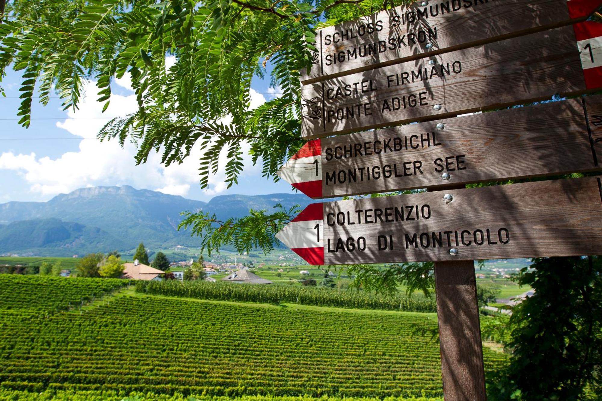 Hotel Girlanerhof Appiano Sulla Strada Del Vino Zewnętrze zdjęcie